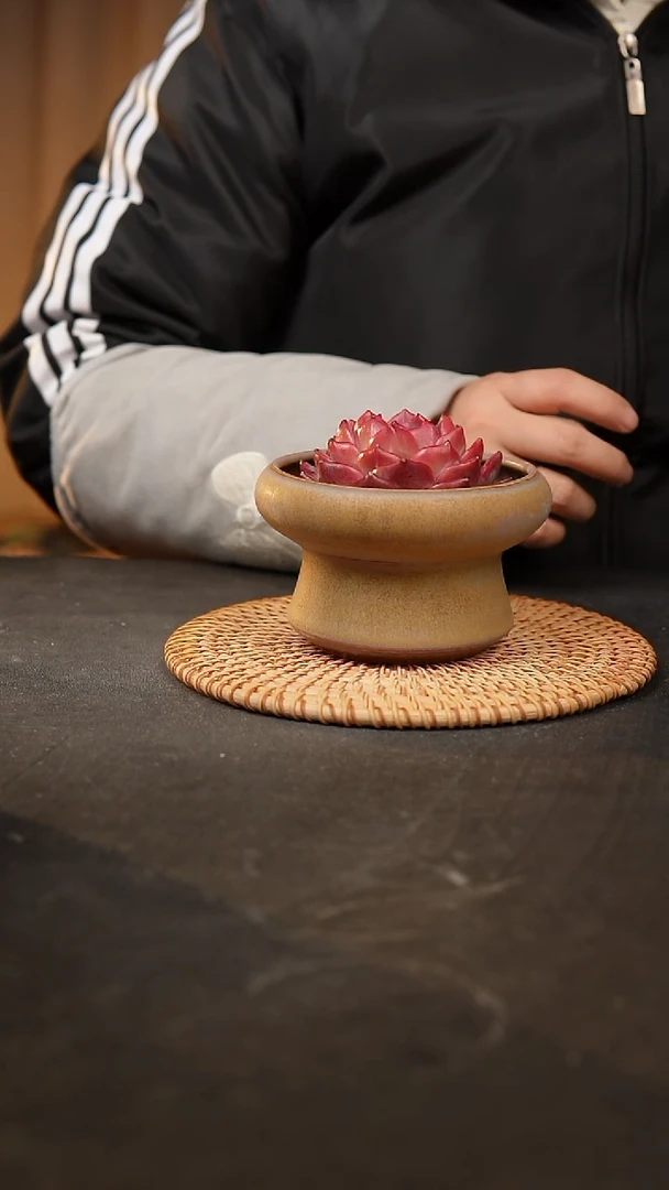 【闪购商品】瓷片泥泥手工花盆口10高7