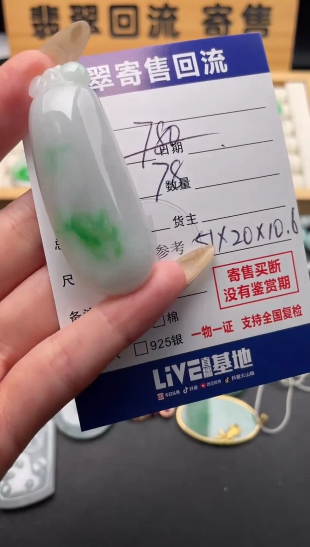 颈饰未镶嵌翡翠10146884