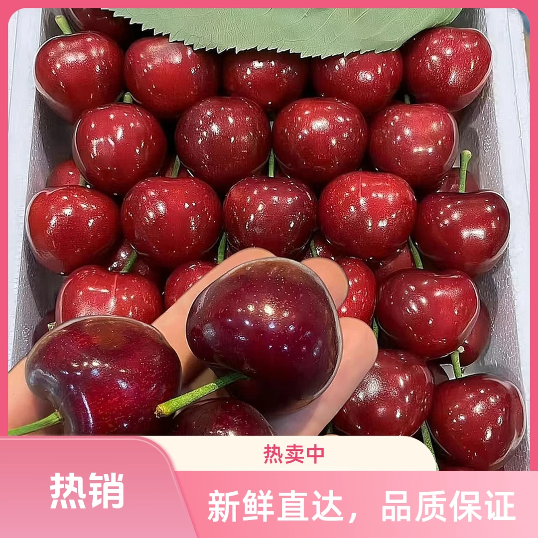 大连美早大樱桃原产地直发当季新鲜水果空运2J-6J嘎嘎好吃