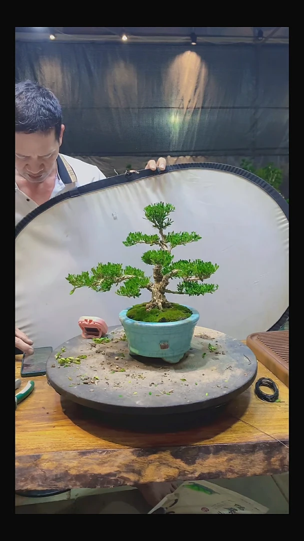 完全开放1**31111111111