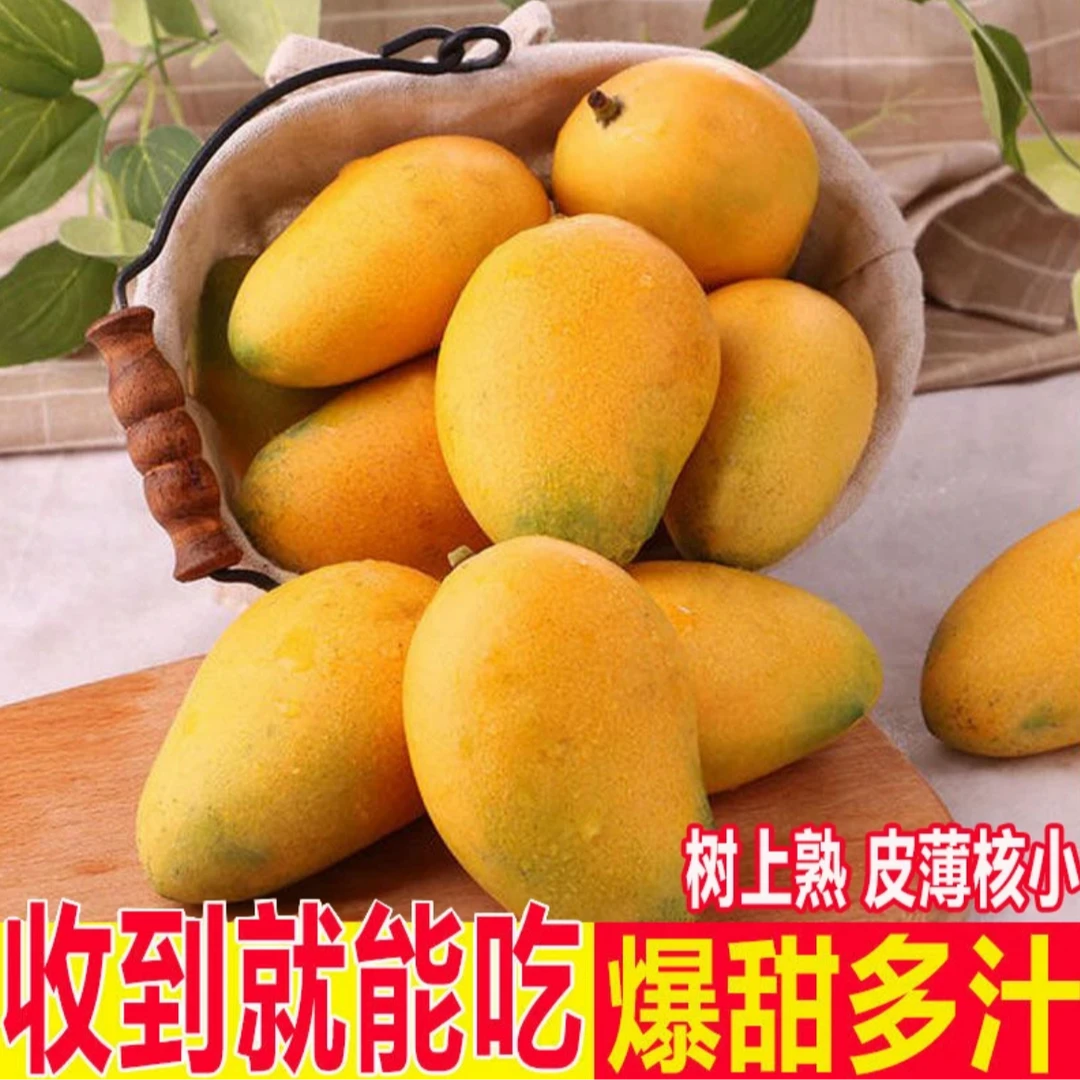 【树上熟-小台芒】海南30年老树小台芒，皮薄核小 爆甜多汁2-5斤