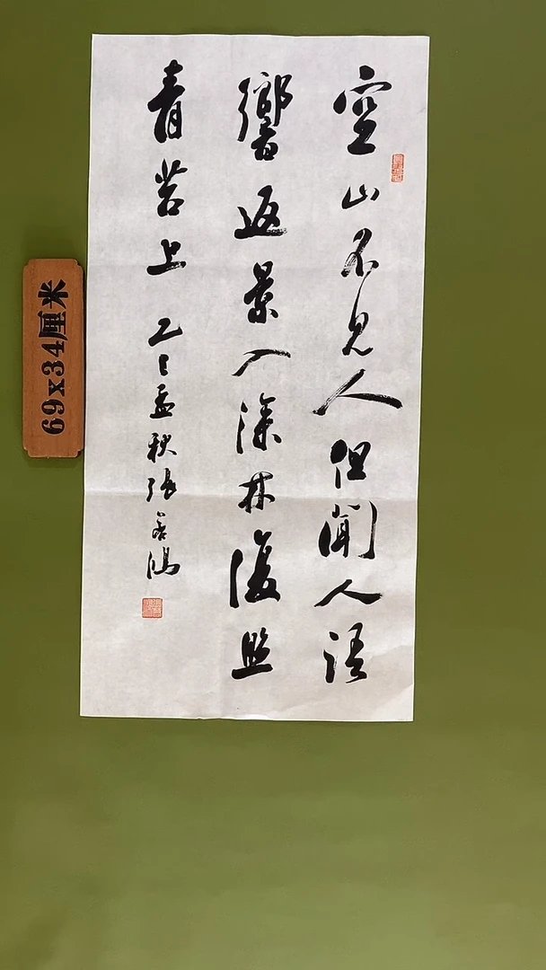 书法书法 张若鸿 尺寸69cm*34cm