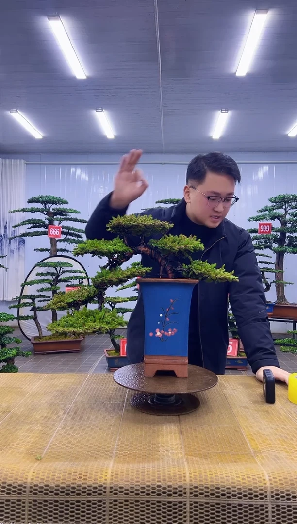 无花朵00000000000000000