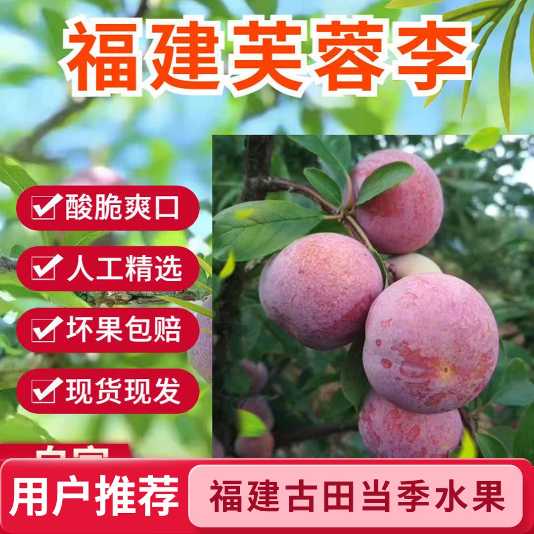 福建古田红心芙蓉李新鲜现摘酸脆爆汁当季水果果乐乐果园应季水果