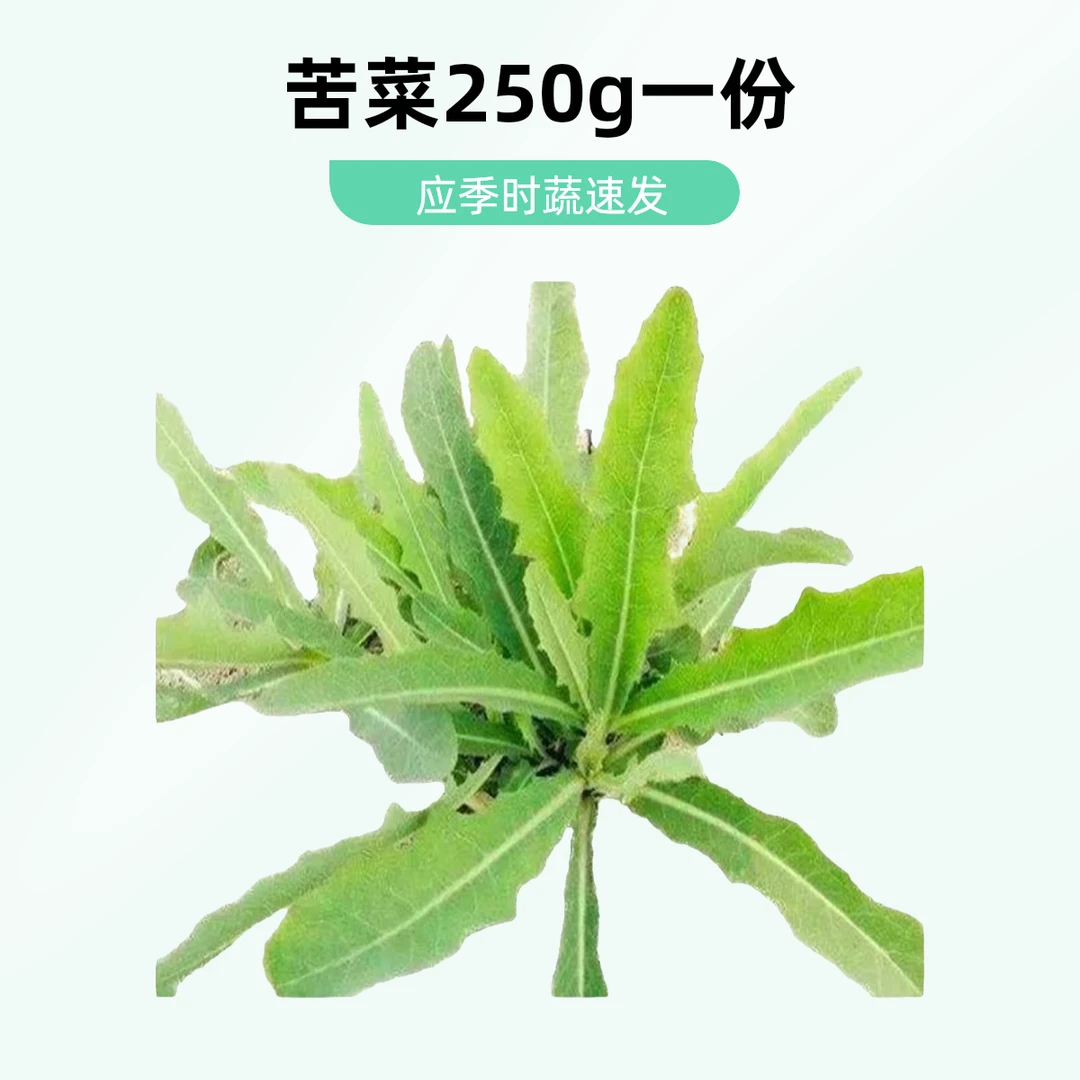 苦菜  250g /份  绿色蔬菜