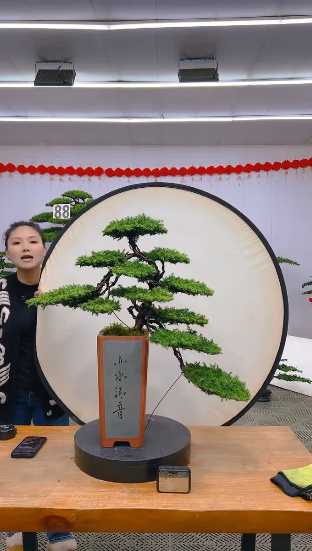 【闪购商品】盆景1