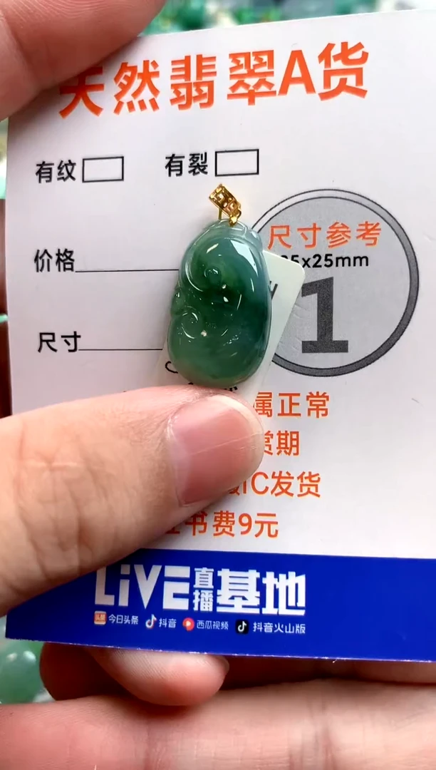 颈饰未镶嵌翡翠0248291535
