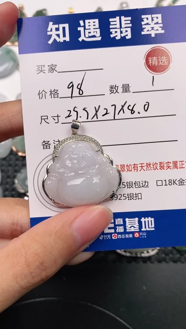 颈饰银S925镶嵌翡翠挂件