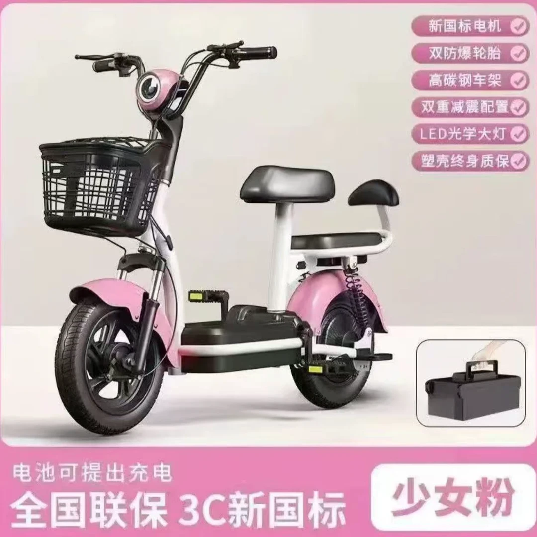 新国标电动车成人电动自行车48V铅酸电池双人代步车轻便女生家用