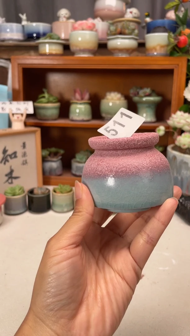 瓷片511知木小芳花盆