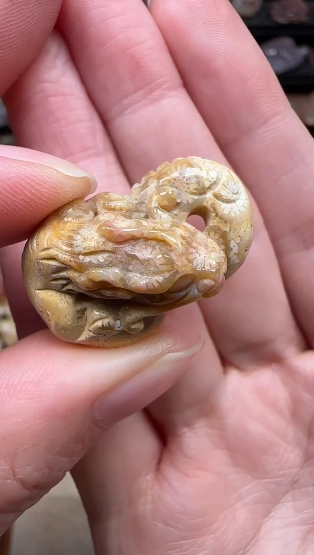 颈饰未镶嵌硅化珊瑚（珊瑚玉）345