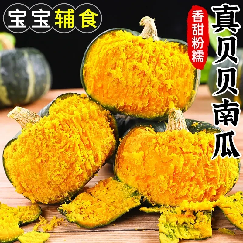 贝贝南瓜板栗味小南瓜粉糯宝宝辅食整箱批发新鲜粉面4.5斤