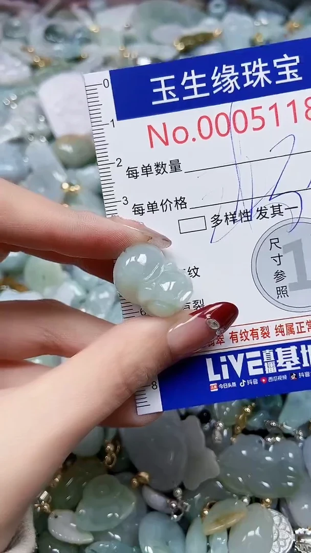 【闪购商品】翡翠颈饰未镶嵌闪购00005118