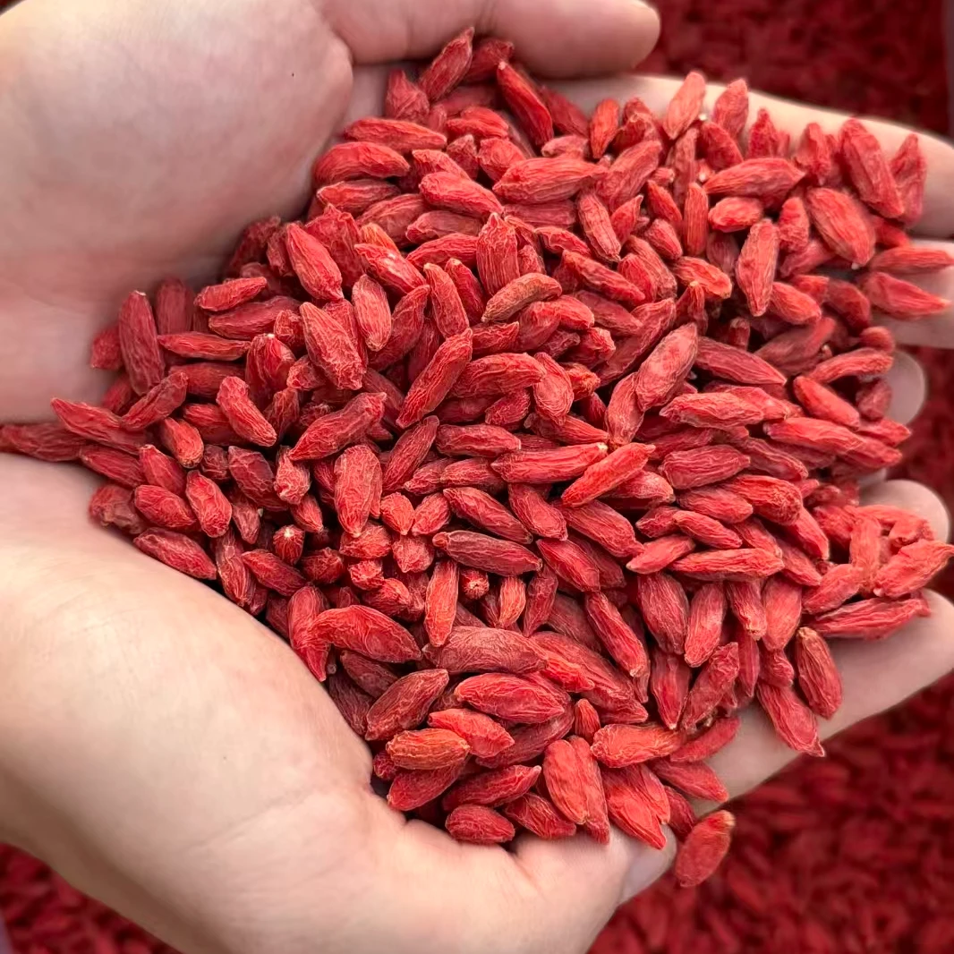 宠粉福利 50g*4袋红枸杞 干货