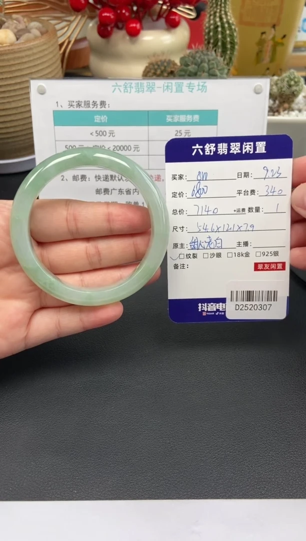 未镶嵌手镯翡翠s*D2520307