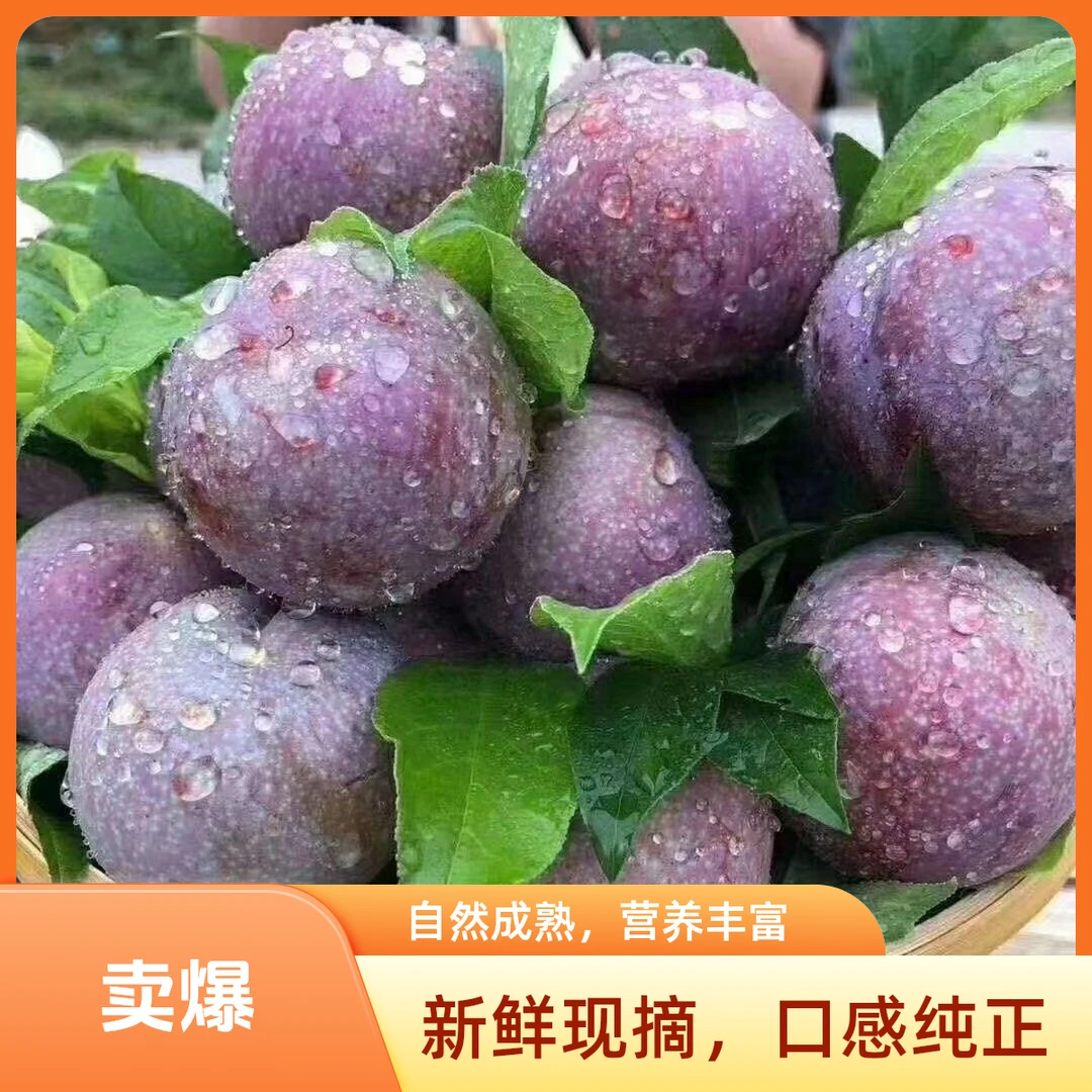 【直播间福利】河池天河脆皮三华李新鲜采摘酸甜脆口多汁果园直发