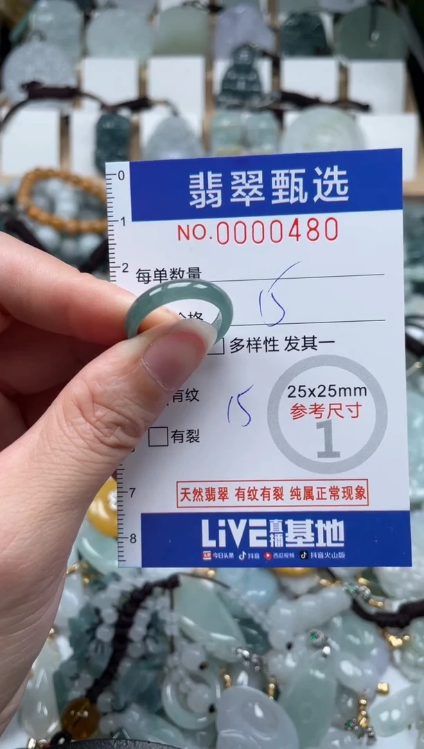 翡翠未镶嵌颈饰00..0480