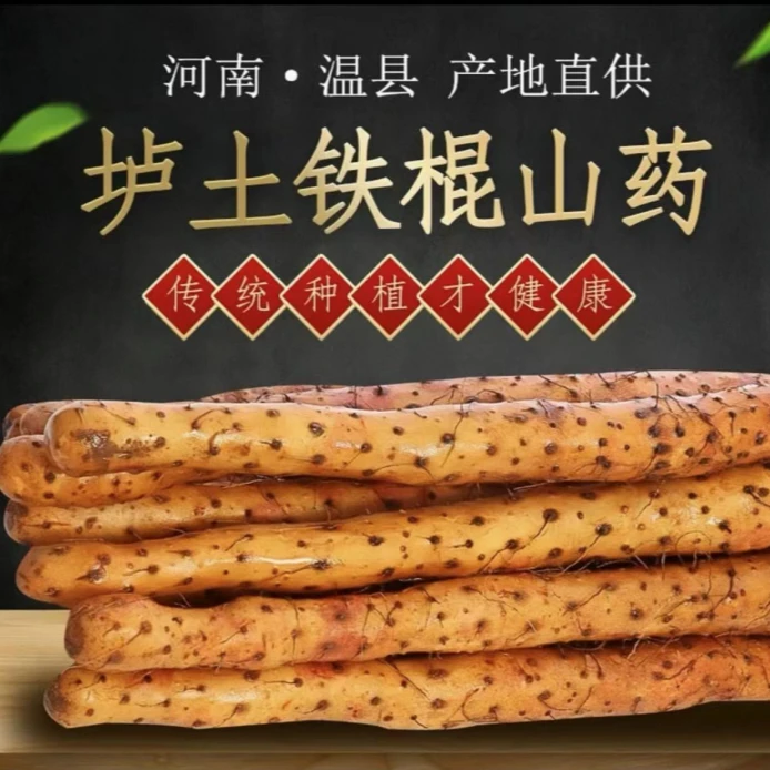 {土豆专属}河南焦作温县垆土铁棍山药 新鲜营养原产地5斤装