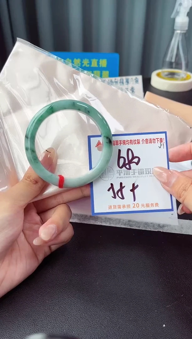 未镶嵌手镯翡翠11111