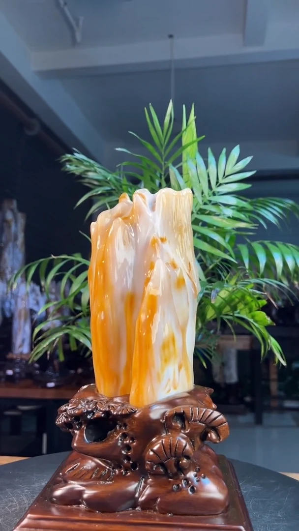 未镶嵌硅化玉（树化玉）珠宝奇石1858（高度30厘米）