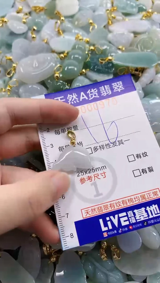 颈饰未镶嵌翡翠天然A货翡翠
