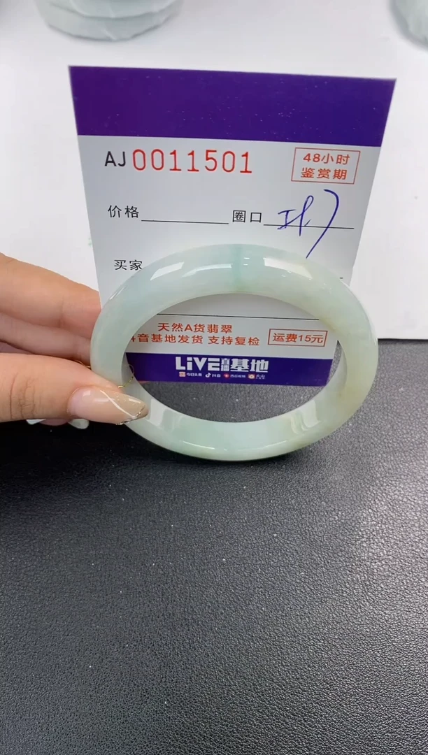 未镶嵌手镯翡翠天然A货翡翠