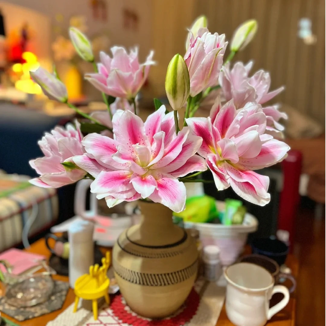 【飞飞甄选】火星之约  重瓣香水百合·鲜花冷链运输·基地直发