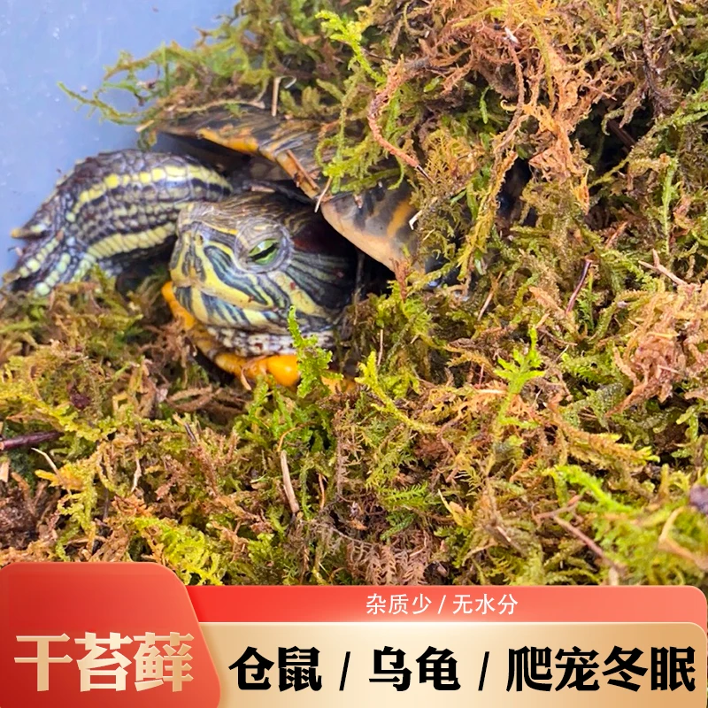 【爬宠用品】苔藓乌龟宠物专用优质营养土船长花园乌龟冬眠垫材苔藓