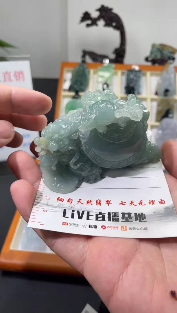 【闪购商品】翡翠颈饰未镶嵌龙龟