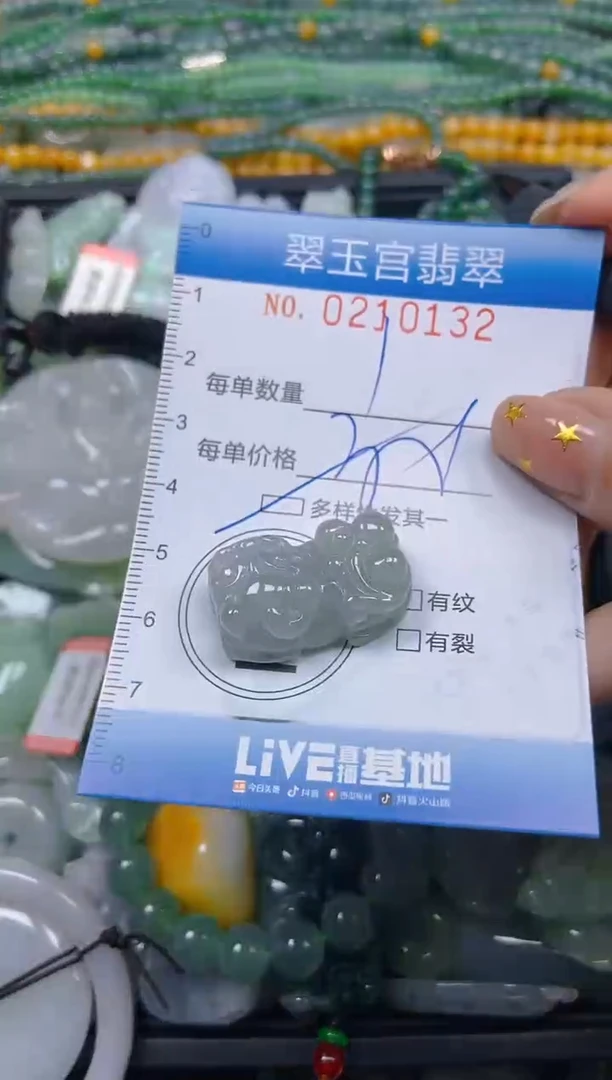 颈饰未镶嵌翡翠闪购C0210132多样性发其一