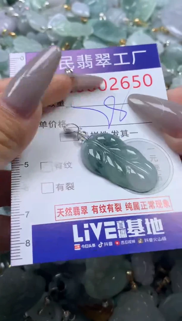 颈饰未镶嵌翡翠2650