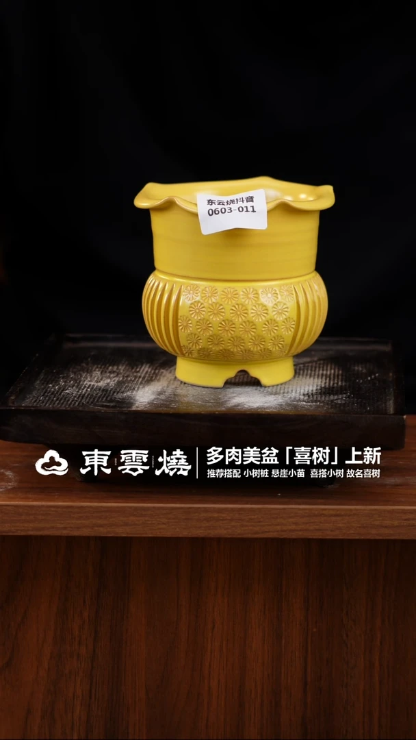 0603-011B  喜树口8