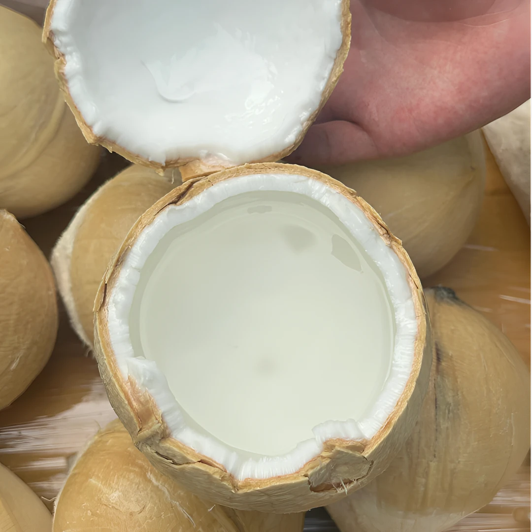 【顺丰冷运】泰国椰皇4/6/8个新鲜带皮椰子汁椰子蛋椰香孕妇水果