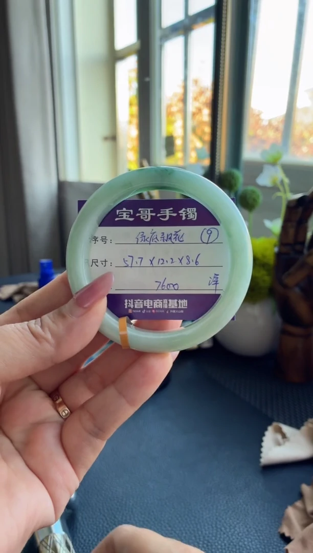 未镶嵌手镯翡翠翡翠手镯 9