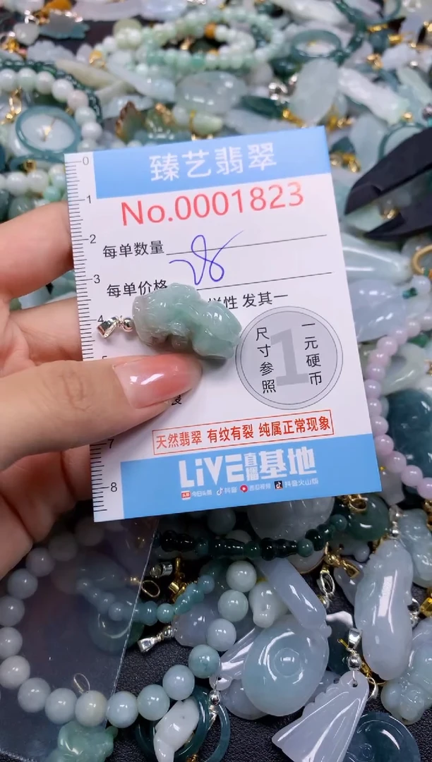 颈饰未镶嵌翡翠1823