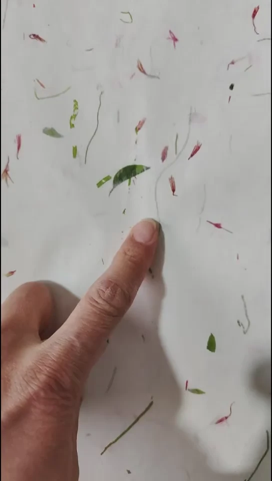 四尺整张红花茶叶皮纸25张