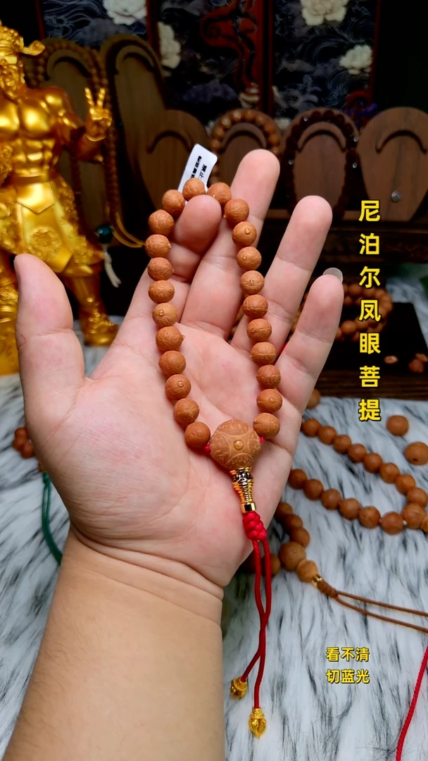手串凤眼菩提新籽10.5