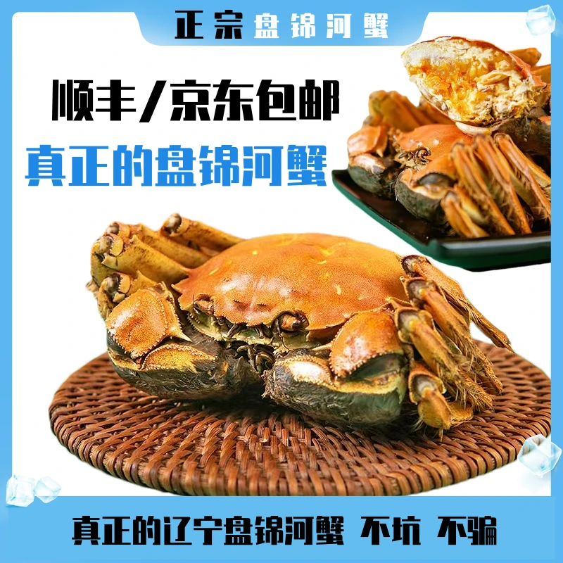 【活蟹】盘锦河蟹 全母蟹30只(1.1-0.8两)鲜活到家
