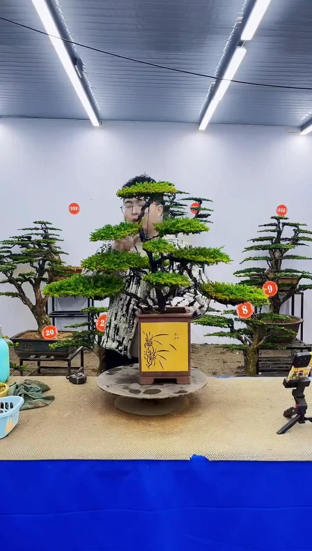 无花朵一物一拍，所见即所得