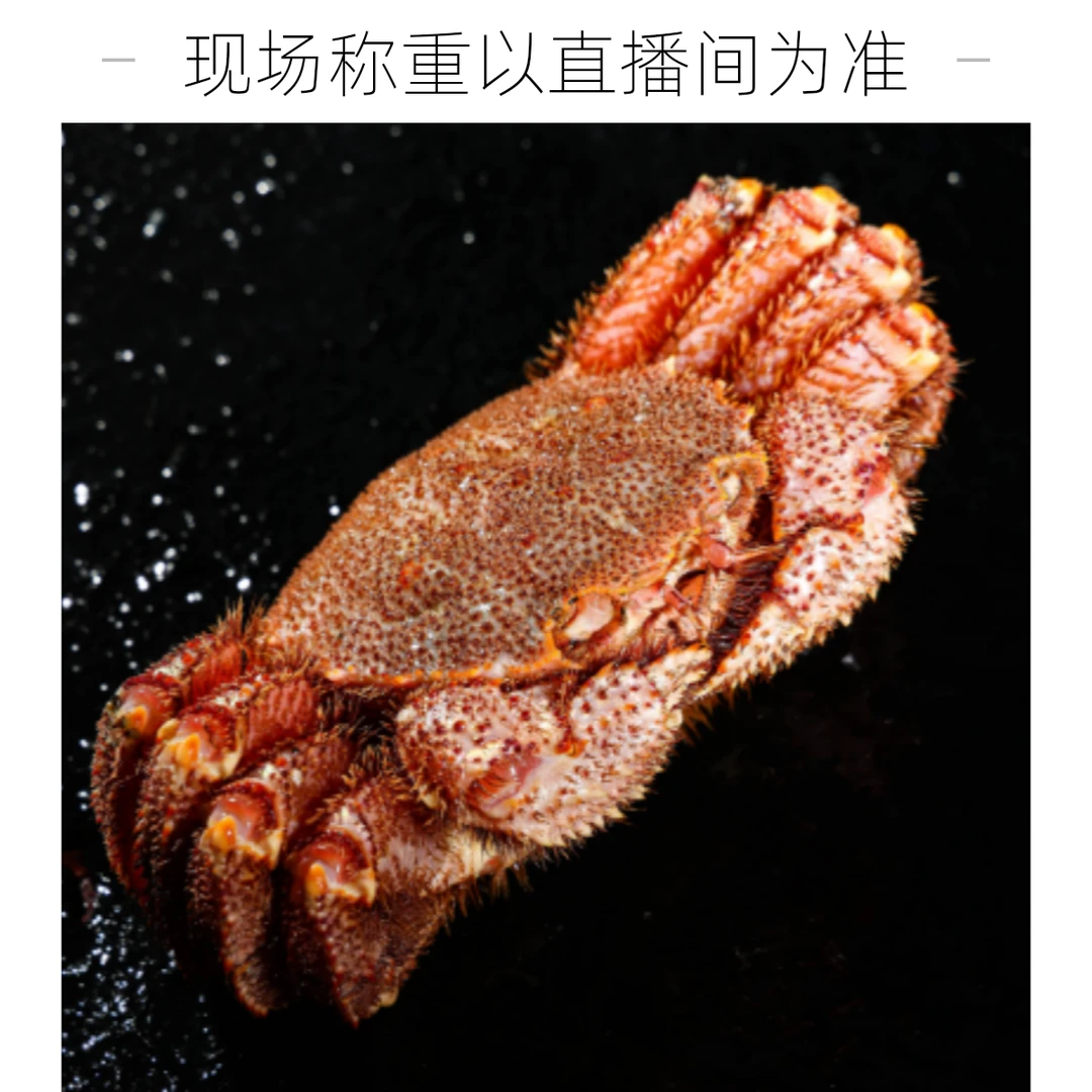 俄罗斯深海红毛蟹（直播现称，保鲜不保活不保全腿）