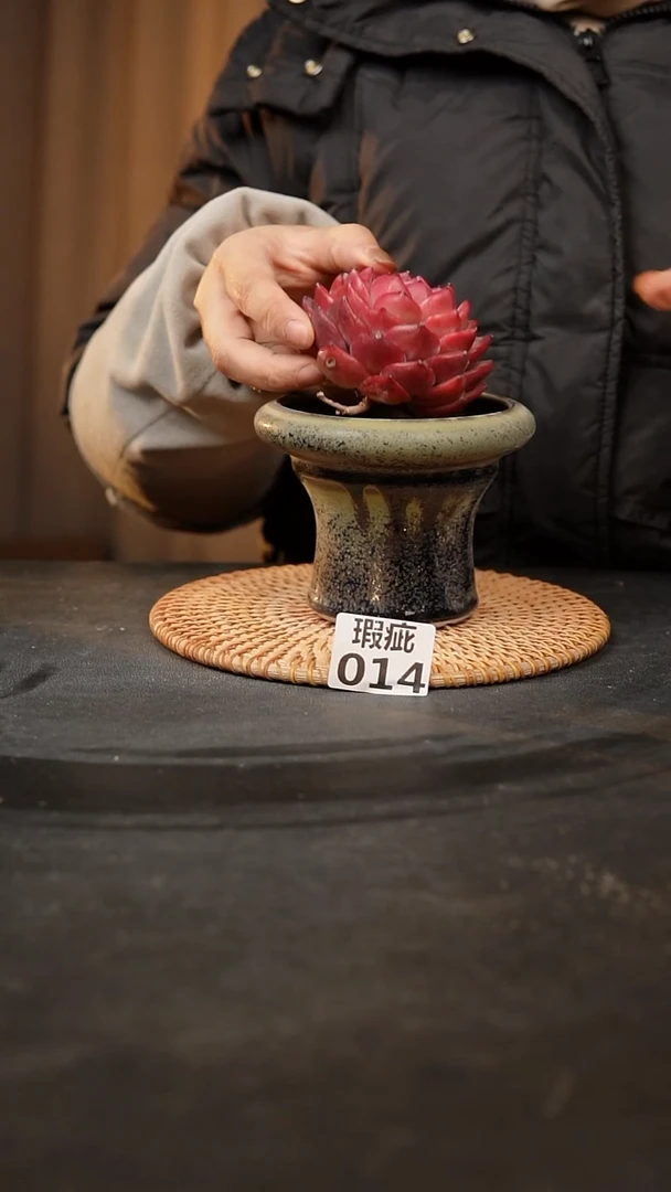 【闪购商品】瓷片014泥泥手工花盆口9