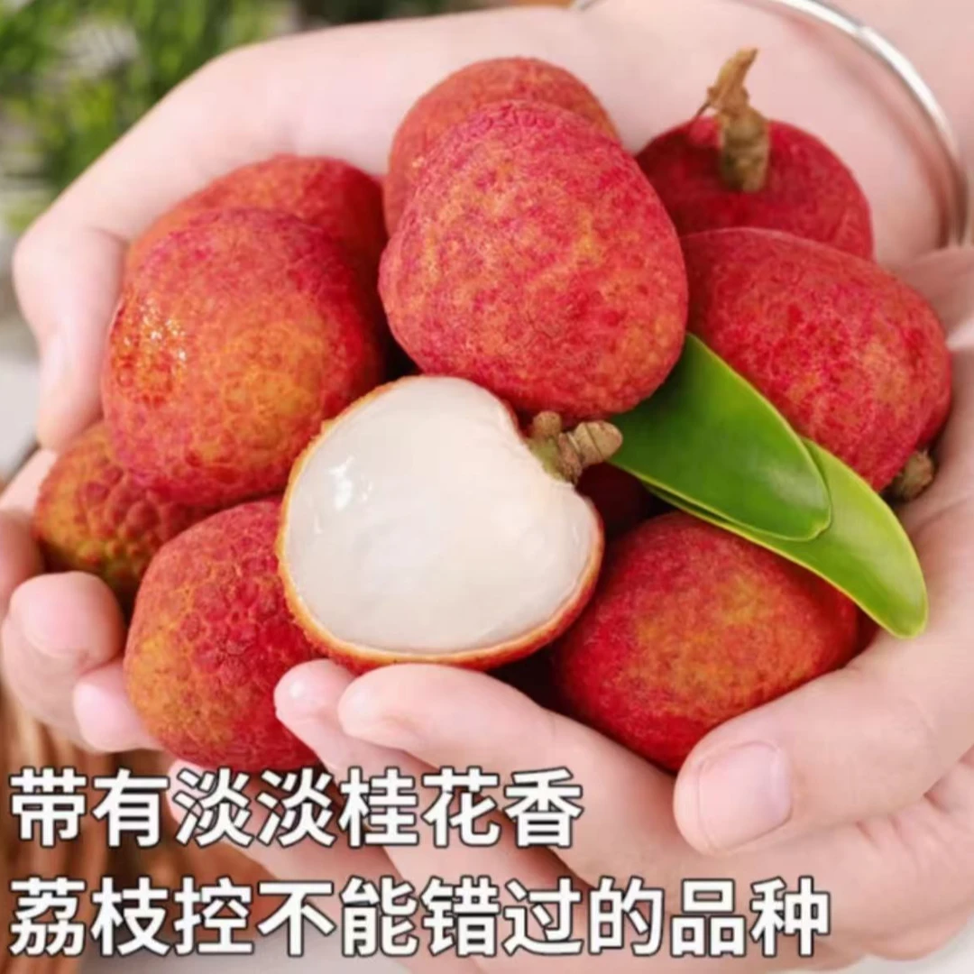 【顺丰次日达】海南桂花香荔枝新鲜水果现摘现发净果2.5斤海南省