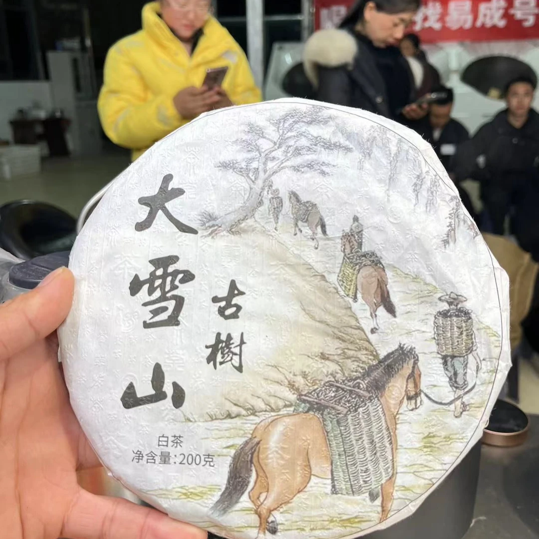 (CN810)yqf//2024年春/大雪山古树混采/白茶/200g饼