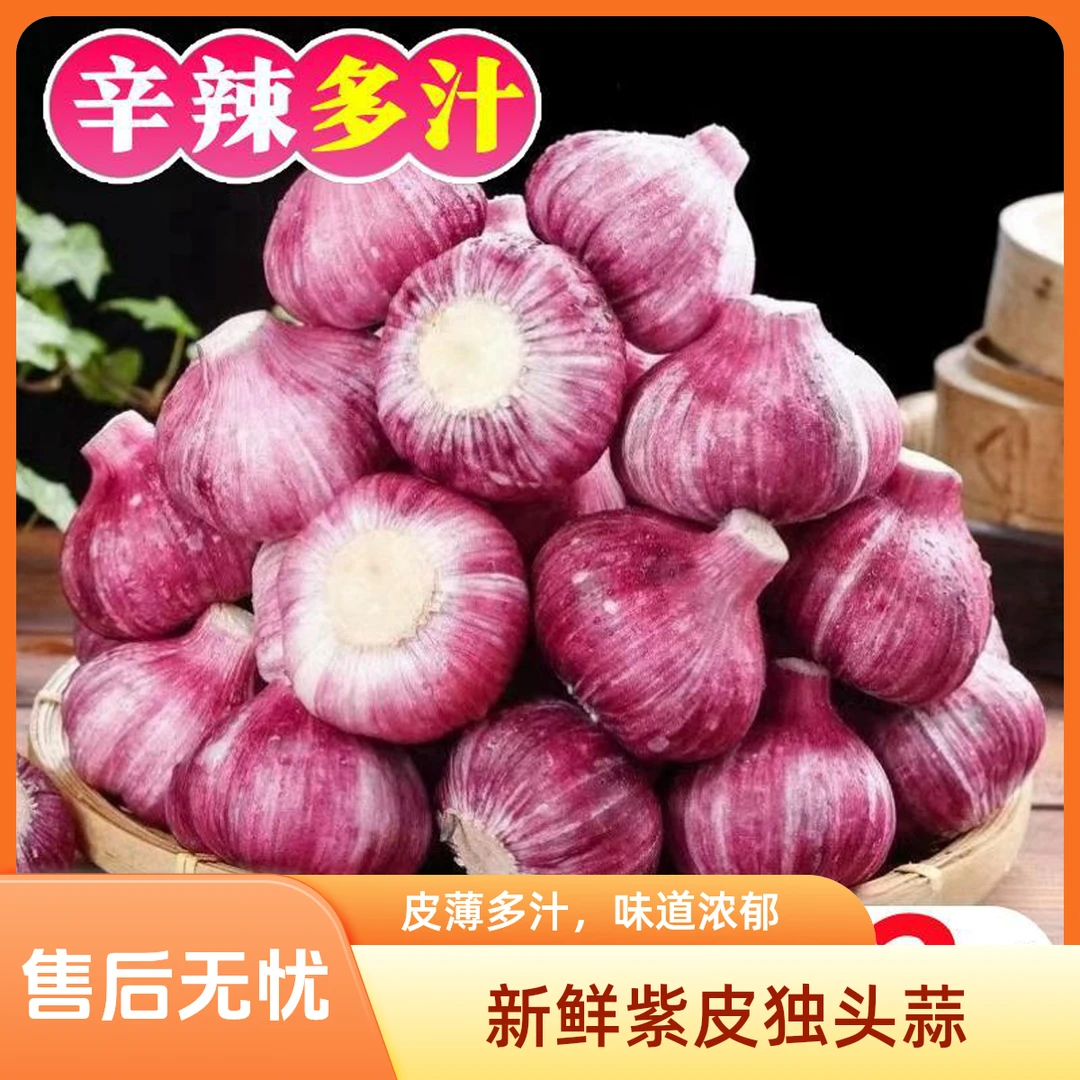 【大促】新蒜云南紫皮多瓣蒜新鲜现挖香辣多汁蒜试吃装3斤装5斤装新鲜蒜苔蒜薹