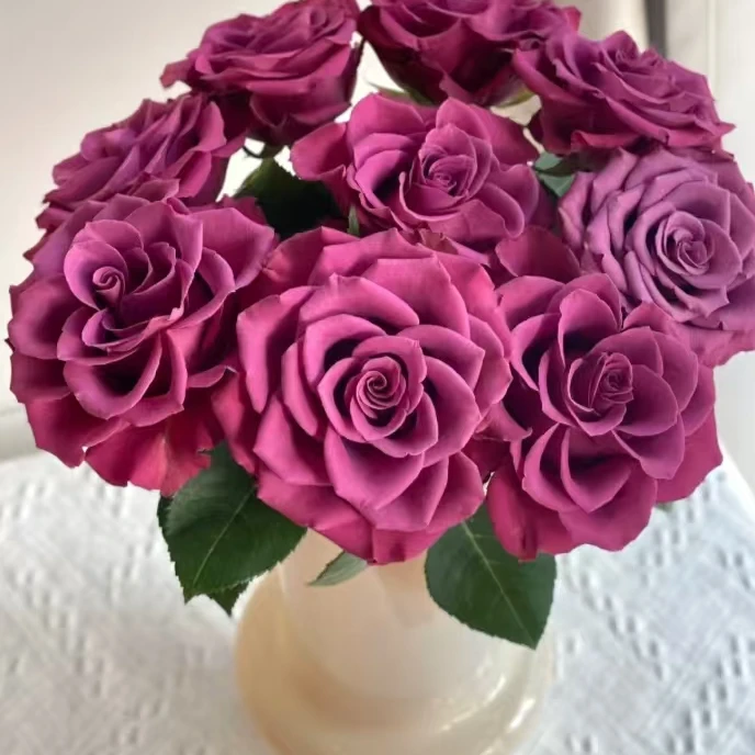 蓝莓玫瑰10枝    一单中通包邮，两单升级顺丰冷链！