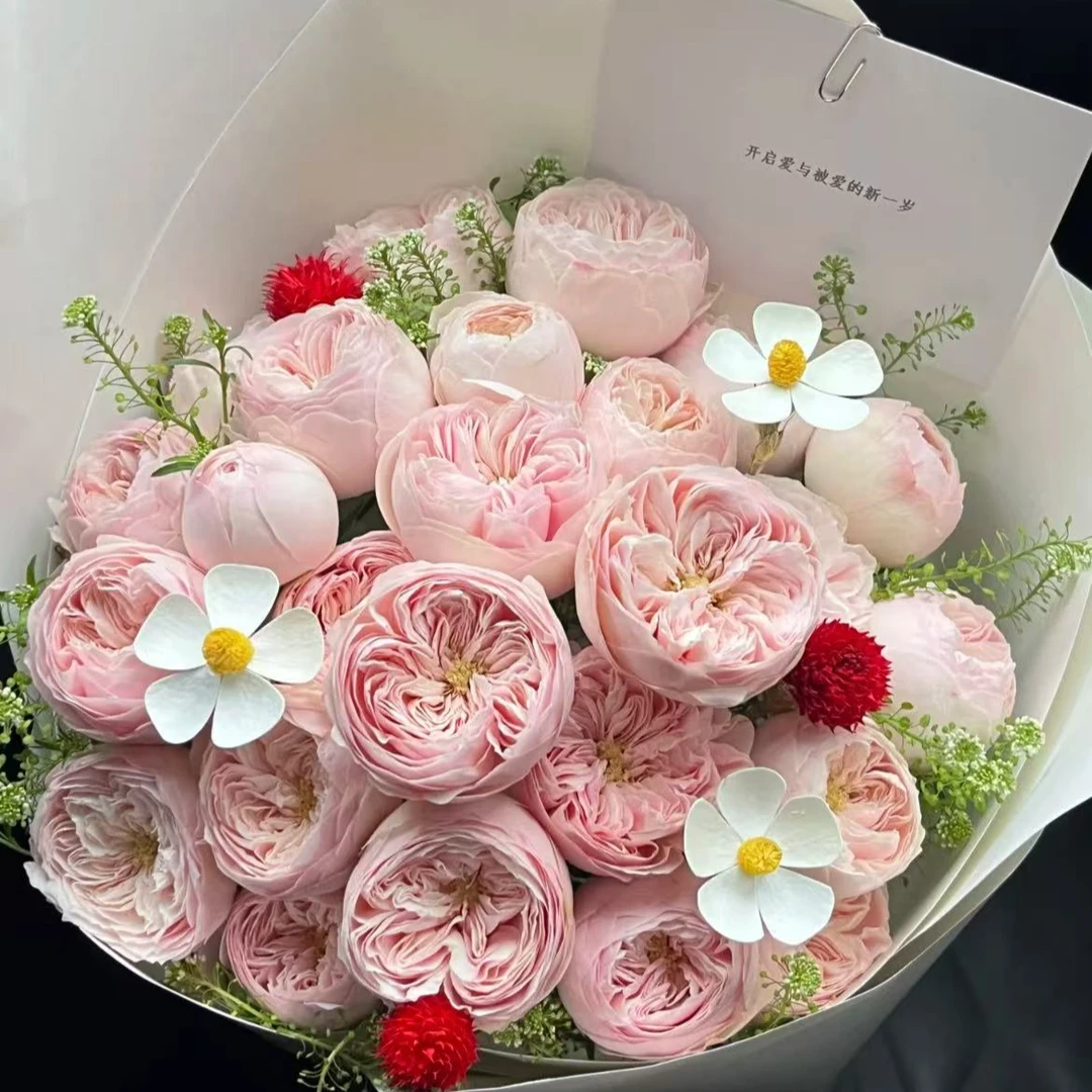 酷皮多头玫瑰云南昆明基地直发新鲜插花家用水养鲜花