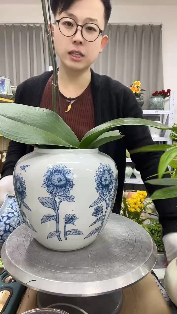 【无孔】直播链接  高： 19  口：11