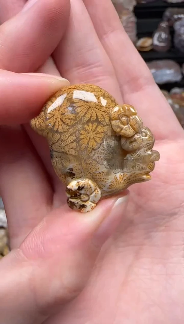 颈饰未镶嵌硅化珊瑚（珊瑚玉）680