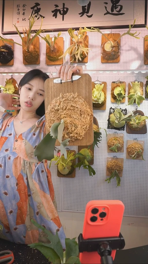 无花朵nu 北极星 优惠