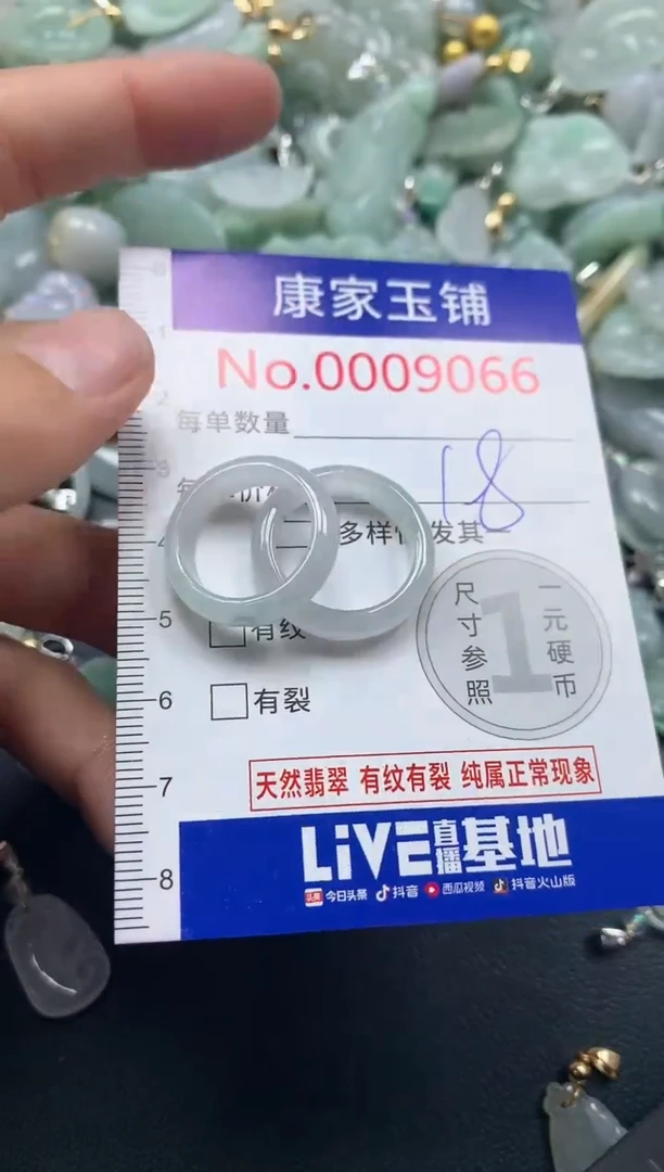 颈饰未镶嵌翡翠9066